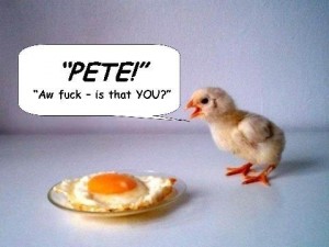 chicken-egg-8810 chicken-egg-8810